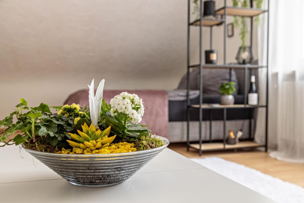Ferienappartement Sonnenhof Триберг Экстерьер фото