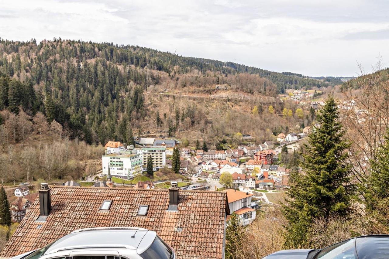 Ferienappartement Sonnenhof Триберг Экстерьер фото